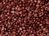 Cocoa-Beans