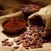 Selling-Cocoa-Powder